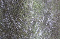 Harlton fibreglass roof work